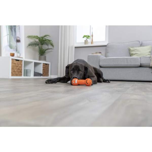 Preview: Smiley-Hantel, Latex